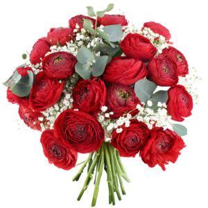 Bouquet Éclat d’amour renoncules rouges gypsophile blanc et eucalyptus composition florale élégante Florajet disponible sur le comparateur bloomyrama