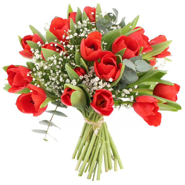 Bouquet Signature avec tulipes rouges gypsophile blanc et eucalyptus composition florale naturelle Florajet disponible sur le comparateur bloomyrama