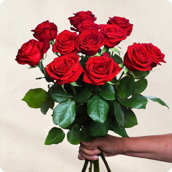 Bouquet Désir 123fleurs roses rouges bouquet rond élégant et intense disponible sur le comparateur bloomyrama