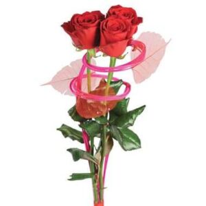 Ma princesse livraison bouquet de saison Agitateur floral comparaison de fleurs bloomyrama