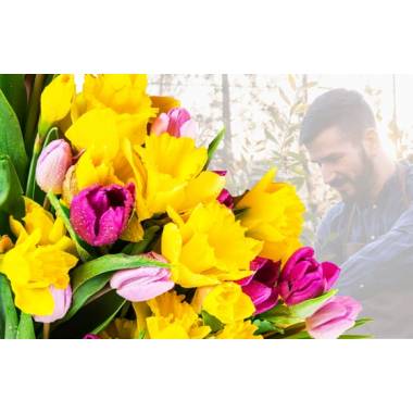 Bouquet surprise jonquilles tulipes Agitateur floral comparateur de fleurs bloomyrama
