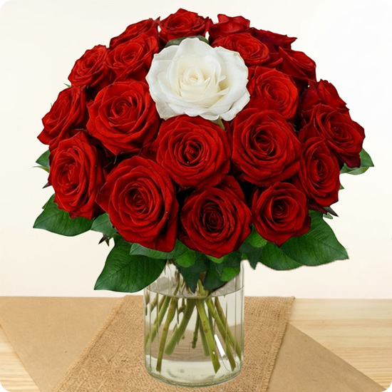 bouquet roses rouges et blanche 123fleurs comparateur de fleurs bloomyrama