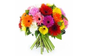 Bouquet rond multicolore jaune rose rouge blanc orange germini Agitateur Floral disponible sur bloomyrama