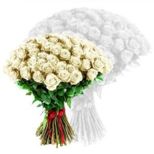 roses blanches Agitateur floral comparateur de fleurs bloomyrama