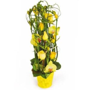 Composition jaune avec roses freesias orchidée en contenant décoratif Bora-Bora disponible sur bloomyrama