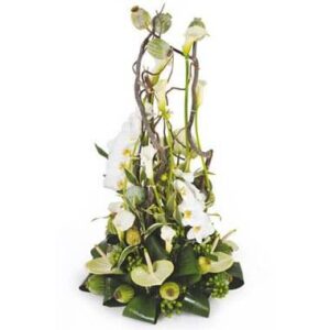 Composition de deuil blanche avec phalaenopsis callas et anthuriums verts L'Agitateur Floral vu sur bloomyrama