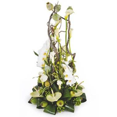 Composition de deuil blanche avec phalaenopsis callas et anthuriums verts L'Agitateur Floral vu sur bloomyrama