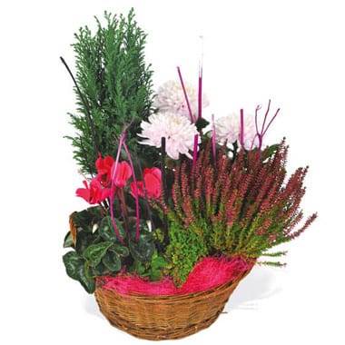 Composition de plantes roses et vertes en vannerie ronde pour tombe l’Agitateur Floral disponible sur le comparateur bloomyrama