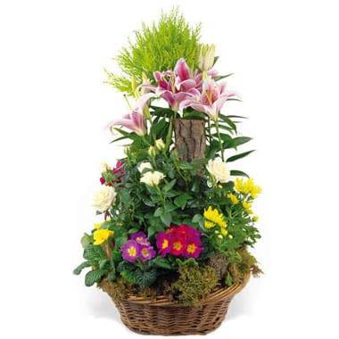Coupe de plantes de deuil en panier osier avec cyprès et rosier blanc l’Agitateur Floral disponible sur le comparateur bloomyrama