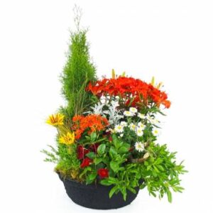 Grande coupe de plantes vertes et fleuries tons chauds avec lys et kalanchoé l’Agitateur Floral disponible sur le comparateur bloomyrama