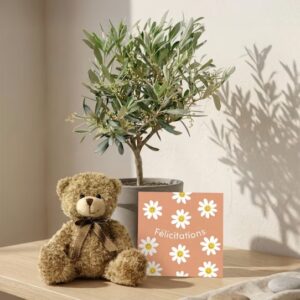coffret naissance peluche plantes comparateur bloomyrama