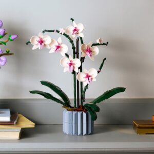 Orchidée LEGO décorative Interflora disponible sur le comparateur bloomyrama