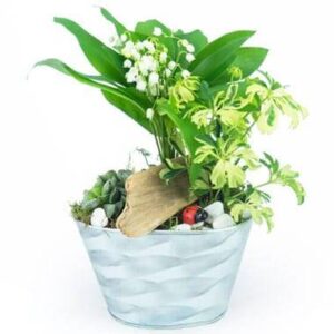 Composition Brin de jardin avec muguet et plantes L'Agitateur Floral disponible sur le comparateur bloomyrama
