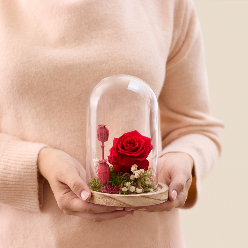 Rose eternelle rouge sous cloche de verre avec feuillage decoratif Interflora disponible sur bloomyrama