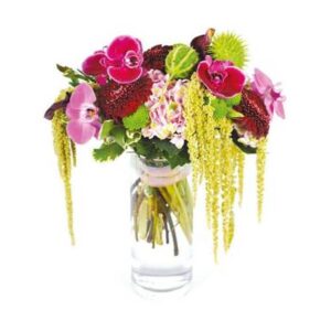 Bouquet d’orchidées phalaenopsis roses et fuchsias Agitateur Floral disponible sur bloomyrama