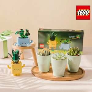 cactus et plantes LEGO Interflora disponible sur le comparateur bloomyrama