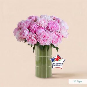 pivoines interflora fête des mères comparateur de fleurs bloomyrama