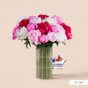 pivoines variées interflora fête des mères comparateur de fleurs bloomyrama
