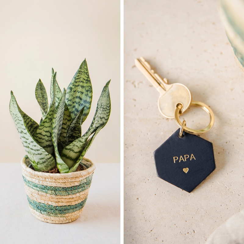 Sansevieria et porte clé Papa Interflora disponible sur le comparateur bloomyrama