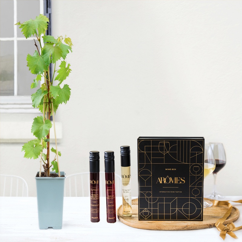 Pied de vigne et coffret dégustation vins Interflora disponible sur le comparateur bloomyrama