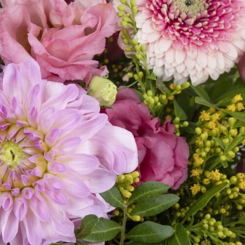 Fleurs d’octobre : quelles fleurs de saison choisir ?