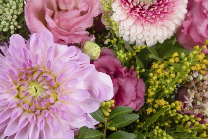 Fleurs d’octobre : quelles fleurs de saison choisir ?
