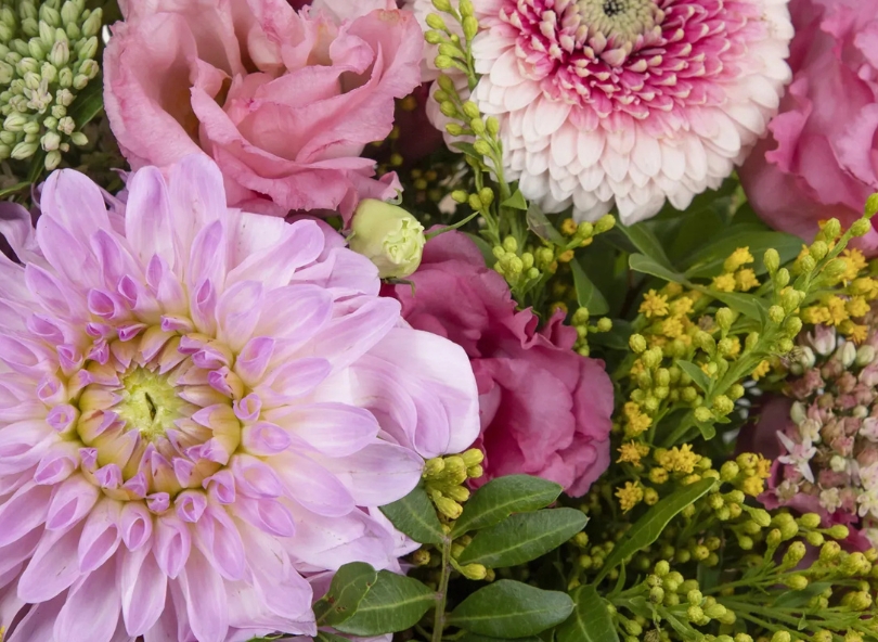 Dahlia fleurs d'octobre bouquets à comparer sur bloomyrama