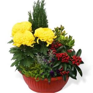 Coupe de plantes jaunes et rouges pour cimetière L'Agitateur Floral disponible sur bloomyrama