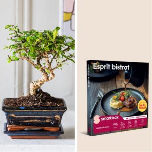Bonsaï et coffret Smartbox Esprit Bistrot pour deux Interflora disponibles sur le comparateur bloomyrama