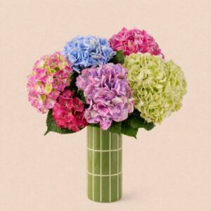 Brassée d'hortensias variés avec vase violet en céramique disponible sur bloomyrama