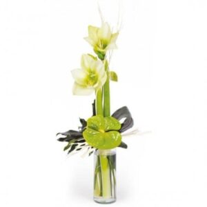 Bouquet Un Hiver à Paris amaryllis blanches et anthurium vert L'Agitateur Floral sur bloomyrama