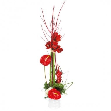Composition Arum rouge et blanche de L'Agitateur Floral disponible sur bloomyrama